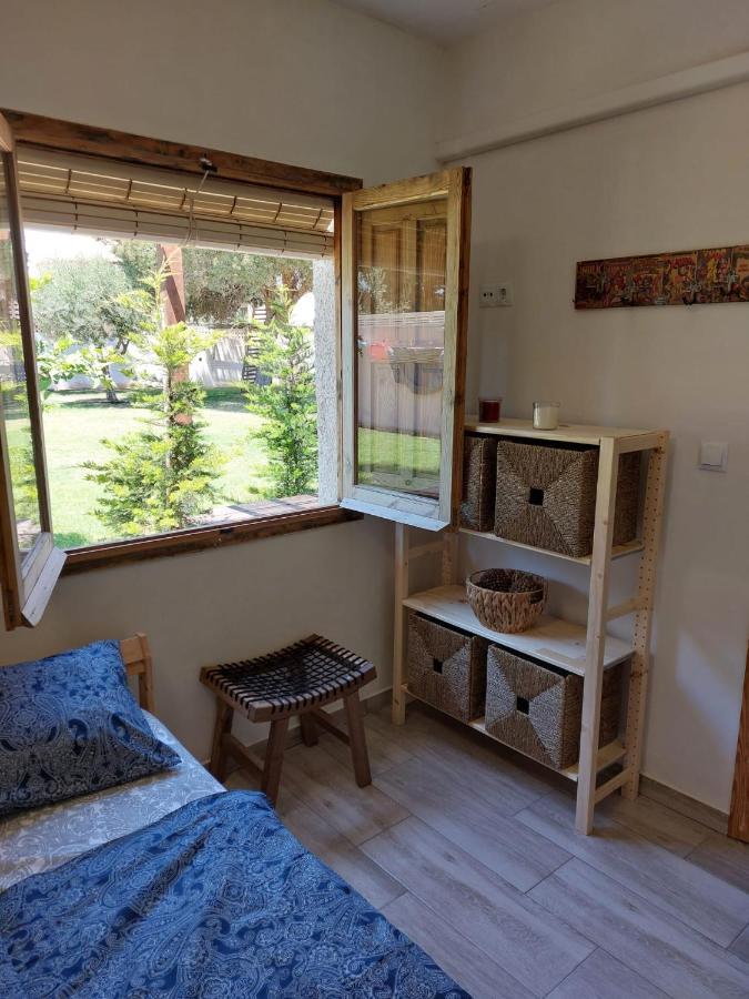 Zenia Hostel Playa Flamenca Ngoại thất bức ảnh